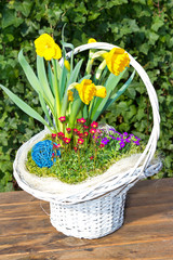 Beautiful white Basket with sping flowers