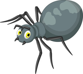 cute spider cartoon