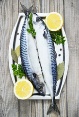 Mackerels fresh served on silver plate with lemon