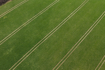 Obraz premium aerial view of over the harvest fields