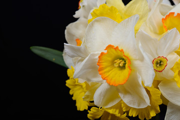 Close up photo of bouquet of white and yellow daffodils placed o