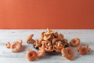 Bunch of orange Saffron Milk Cap mushrooms on white rustic wooden table with copy space.