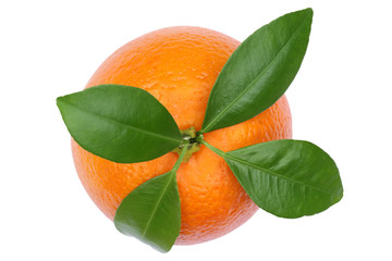 Blutorange Frucht mit Blätter von oben Freisteller freigestellt