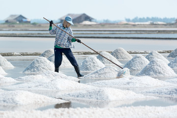 Sea salt harvesting in Pak Thale, Phetchaburi, Thailand