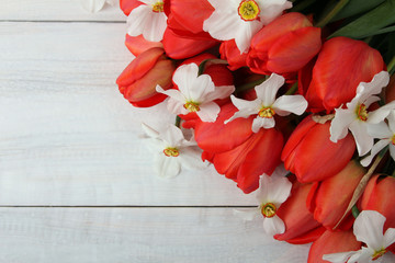 heaps of live red tulips and white Narcissus on wooden background