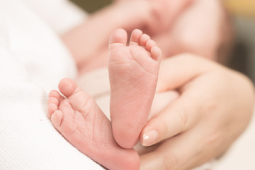 Obraz na płótnie Canvas Baby feet in mother hands.