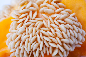 nature background. seeds of pepper