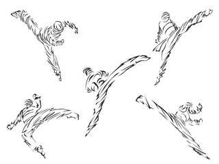 Taekwondo. Martial art Set