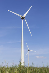 Fototapeta premium wind turbines in the dutch province of flevoland with grass and