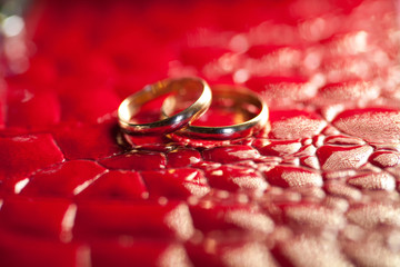 wedding rings closeup