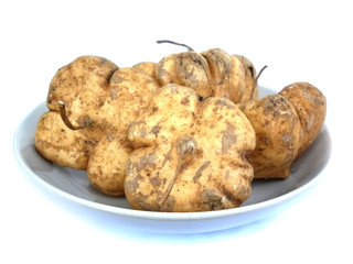 jicama fresh fruit on white background 20