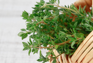 Green thyme in a basket, close up