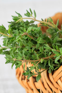 Green thyme in a basket, close up