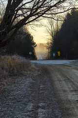 rural country road in the early morning