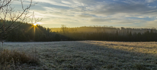 morning frosty landscape