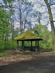 Schutzhütte im Wald_#F