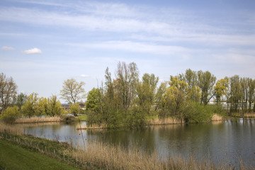 Fototapeta na wymiar Rural landscape along Dutch river Meuse, Poederoijen, Gelderland, Netherlands