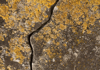 Cracked stone texture with moss.