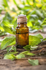 Essential oil made from mint on a rustic table