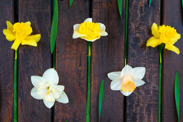 Narcissus on the wooden background.