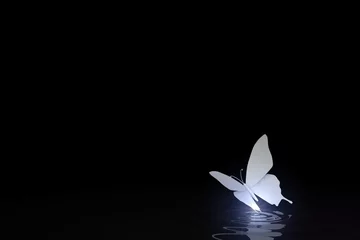 Muurstickers Nacht vlinder vliegt op © emieldelange