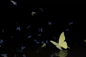 Foto auf Leinwand Vlinder paradijs © emieldelange