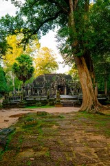 Fototapeta na wymiar Banteay kdei temple, Angkor, Siem Reap, CambodiaSra