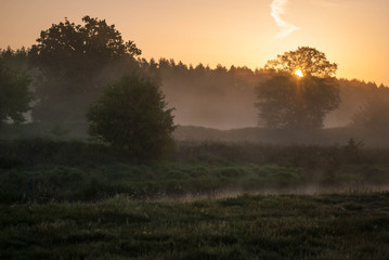 Fototapeta na wymiar Sunrise over the forest in the fog