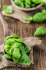 Portion of fresh Basil (close-up shot)