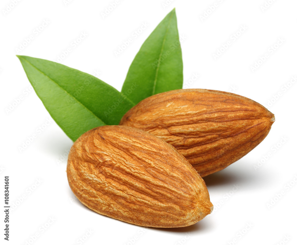 Poster almond group