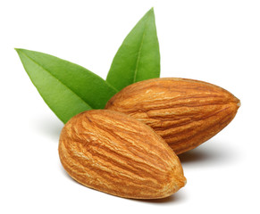 Almond group 