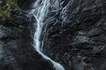 Fototapeta na wymiar Cedar Creek waterfall in Mount Tambourine, Queensland.