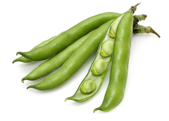 Broad Bean