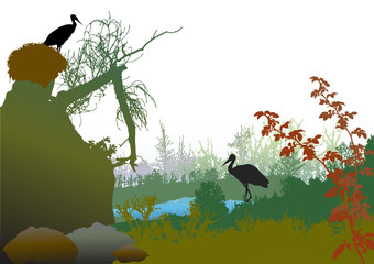 Panoramic wild landscape with a pond, broken tree, plants and storks