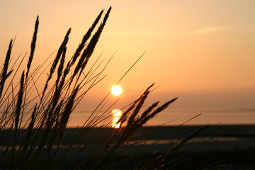 Sonnenuntergang auf der Insel Föhr