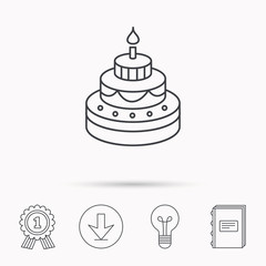 Cake icon. Birthday delicious dessert sign.