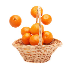 Wicker basket full of multiple ripe fresh juicy tangerines, composition isolated over the white background