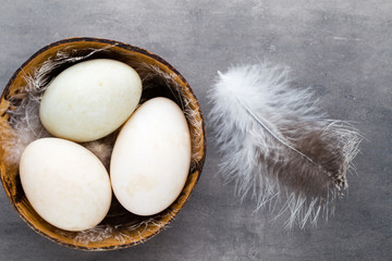  Duck eggs on a cage gray background.