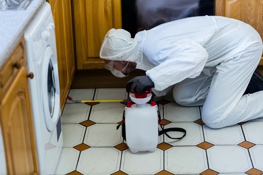 Pest control man spraying pesticide