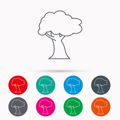 Oak tree icon. Forest wood sign.