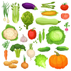 Set Of Flat Fresh Vegetables, Healthy And Vegetarian Food Collection