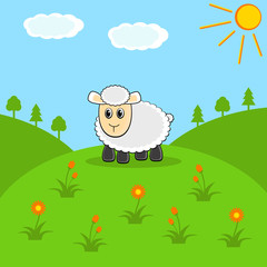 Obraz na płótnie Canvas sheep on the meadow
