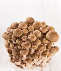 Fototapeta na wymiar brown beech mushroom on white wooden background.