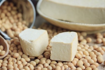 Tofu with soybean