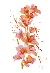 card with orchid flowers, watercolor