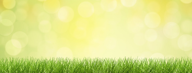 Obraz premium Gras / Hintergrund / Bokeh