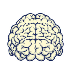 Human brain hand drawn icon on white background. Vector illustration