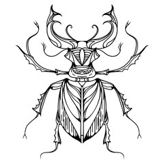 Hand drawn vintage stag beetle. Insect with doodle pattern. Vector element for tattoo sketch, printing on T-shirts, postcards and your design