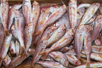 Fototapeta premium Fish at market
