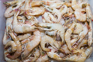Prawns at market